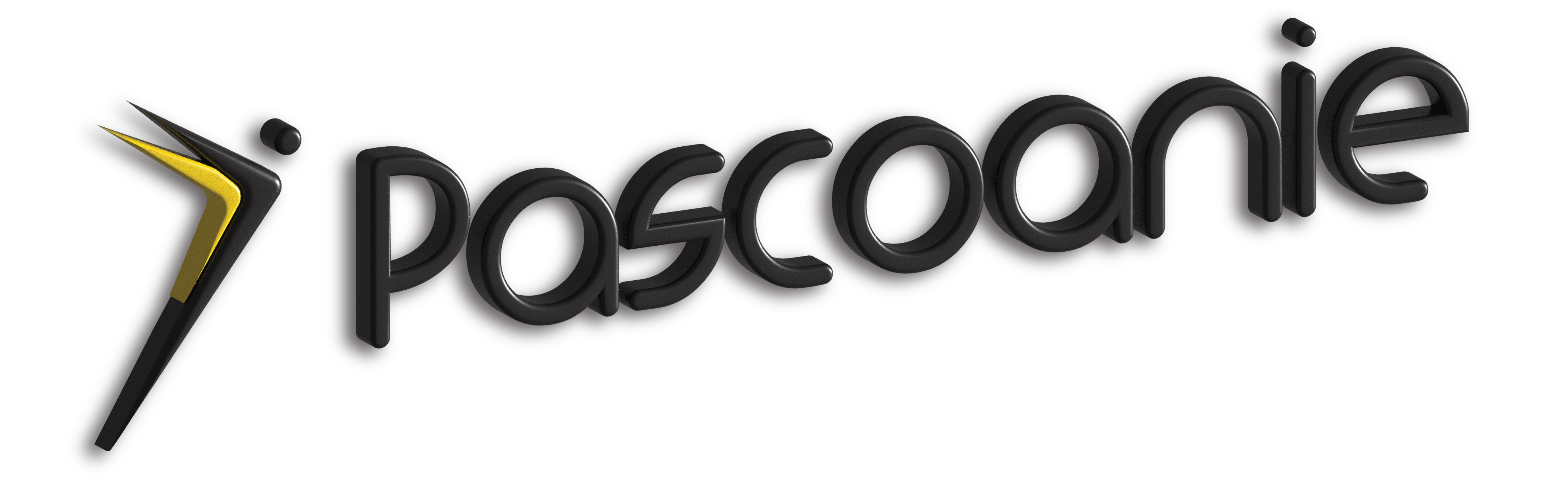 pascoanie.com logo